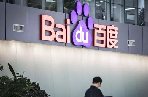 旋风蜘蛛池搭建